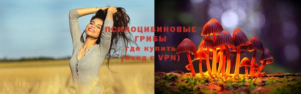 молекула духа Инсар