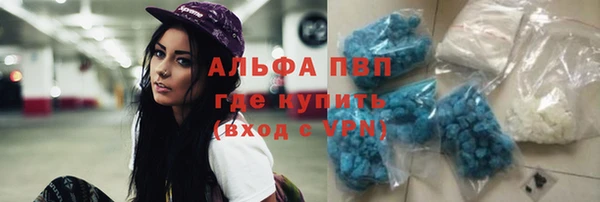 прущий лед Каменка