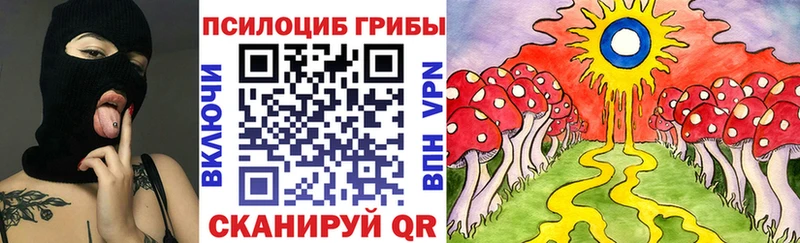 Купить закладки  Хабаровск  Галлюциногенные грибы GOLDEN TEACHER 